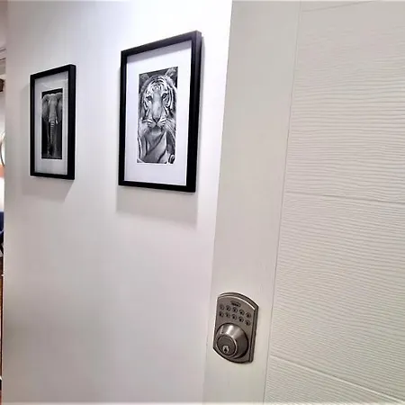 Central Arghezi Art Nouveau Acomodation Appartamento